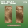 Clairol Natural Instincts Demi-Permanent Hair Dye, 8 Medium Blonde Hair
