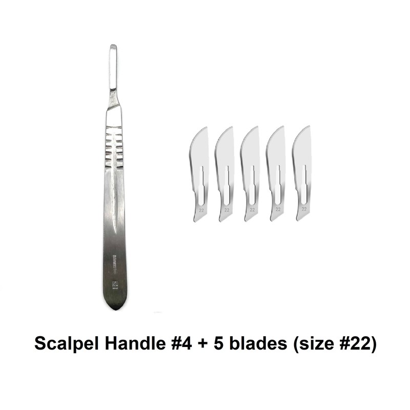 19 Piece Dissecting Kit Including Scissors, Forceps, Scalpel, and Probe
