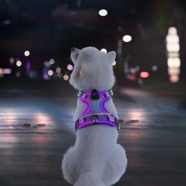 LED Dog Harness, Lighted Up Dog Harness, No-Pull Dog Harness with 2 Leash Clips, Adjustable Soft Padded Dog Vest, Reflective No-Choke Pet Oxford Vest with Easy Control Handle (Rainbow, Small)
