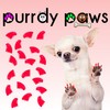 Purrdy Paws 3 Month Supply Soft Nail Caps for Dog