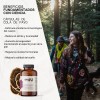 Hongo Cola de Pavo Cpsulas Veganas Sin Sabor UNRULED FOODS