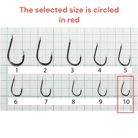 PRO FILSTAR Fishing Hook Set with Leader 10 Pieces, N10 - Tied Hooks with Mono Fishing Line 50 cm, DIA 0.14 mm - Carp Fishing - Carp Fishing Accessories - Carp Fishing Hooks - Fishing Accessories -