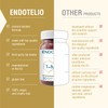 Endotelio 1-MNA PRO, Anti Aging, Optimizing NAD+, Double Dose for