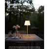 VISDANFO Wireless Touch Table Lamps (Gold + White PE Plastic