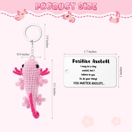 JoycuFF Axolotl Gifts, Axolotl Keychain for Girls, Crochet Animals Keychain Gifts for Daughter, Birthday Christmas Day Graduation Key Chain for Her