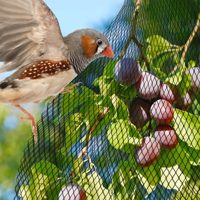 PACETAP Pond Netting Kit 7 x 10 Ft for Leaves,