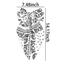Paisley Print Hair Accessories: Silky Satin Hair Bows, Long Ribbon Bows, French Barrette Clips for Women and Girls