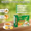 Honey Ginger Tea – Soothing Herbal Blend | Caffeine-Free Wellness