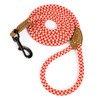 Mile High Life | Mountain Climbing Dog Rope Leash with