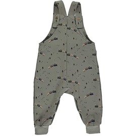 Müsli by Green Cotton Baby Boys' Train Spencer Casual Pants, Basil