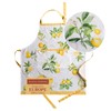 Maison d'Hermine 100% Cotton 1-Piece Kitchen Apron with Adjustable Neck