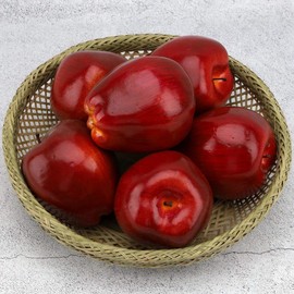 Woration Fake Red Apples Artificial Apple Model Simulation Lifelike 6 PCS Fruit Set for Home Kitchen Wedding Party Fall Christmas Decoration