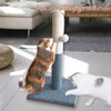 Barelove Tall Cat Scratching Post, Natural Sisal Rope Kitty Scratch