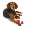 PUREPET Rocket POP Freezable Water Toys for Dogs Keep Your