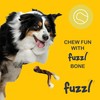 Fuzzl Ultra Tough Nylon Dog Chew Toy - Wishbone and