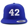 Number 42 Collegiate Varsity Font Embroidered Flat Bill Snapback Cap