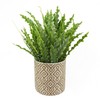Leaf Ceramic Planters, 12cm Grey Geometric