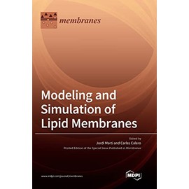 Modeling and Simulation of Lipid Membranes