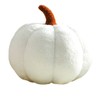 Maxpetus 3D Simulated Pumpkin Pillow Plush Pillow Sofa Cushion (11inch,
