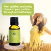 Natureance Natureance Bergamot Essential Oil (15 mL) - 100% Pure