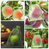 100 Pieces Green Fruit Protection Bags Fruit Protection Bags Fruit