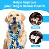 Speedy Panther 2 Pack Heavy Duty Braided Cotton Dog Rope