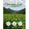 NICE WITCH'S Korean Gondre (Cirsium setidens) 3.5 oz (100g) –
