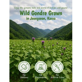 NICE WITCH'S Korean Gondre (Cirsium setidens) 3.5 oz (100g) – 100% Natural Dried Wild Korean Thistle, Mountain Vegetable for Bibimbap 건 곤드레 나물