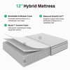 Novilla 12 Inch Full Size Mattress, Individually Hybrid Full Mattresses