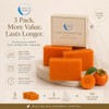 Persimmon Soap 3 Pack with Foaming Bag – Body Odor