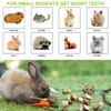 GOMETY Rabbit Chew Toy, Rabbit Toy for Teeth, Small Animal