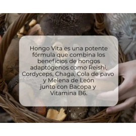 Suplemento Adaptógenos Cápsulas Chaga Cordyceps Reishi Melena de León Joycare Juliana                                                                 
