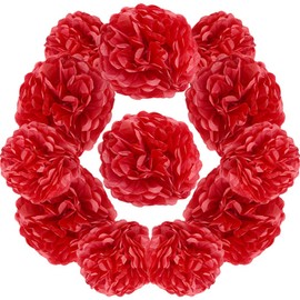 Yosawa 12 Pcs Tissue Paper Pom Poms Flowers,10''12''Paper Flower Party Decorations for Wedding Birthday Baby Shower Baby Girl Room Nursery Decoration（Red/ZH）