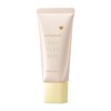 Integrated Pure Base Lemon Makeup Base Unscented Lemon Dark Stains