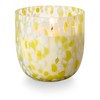 Illume Under The Sun Pool Floatie Sun Glass Scented Candle