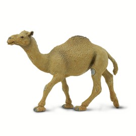 Safari Ltd. Wild Safari Wildlife Dromedary Camel