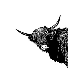 Farm Style Peeking Scottish Highland Cow Wall Decal Sticker. Farmhouse Home Decor. Funny Cow. Kitchen Decor. (Black Color) #6319 (Facing Left, 30in Tall X 28in Wide)