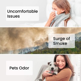 smartmi Replacement Air Purifier Filter - H13 True HEPA Filter, Activated Carbon, Pre Filter and Internal Filter - Traps Odors, Smog and Smoke at Home, Office