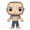 Funko Pop Movies: Split - Beast Collectible Figure, Multicolor
