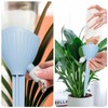 Wzenclave Self Watering Spikes - 4PCS (One Size, Count, 4)