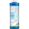Clorox® Pool&Spa™ Swimming Pool Scale, Metal & Stain Control, Prevents