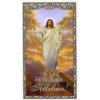 I Am The Resurrection N holy card - laminated -