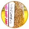 Nishiki Sesame Sesame Furikake 4.4 oz (125 g)