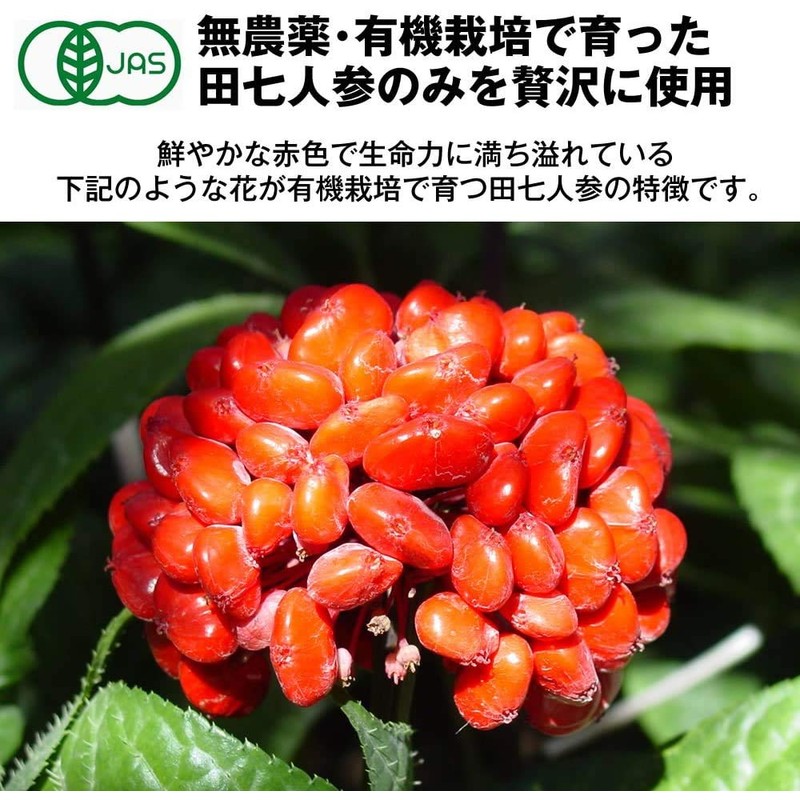 和漢堂 有機 田七人参 サプリメント 有機JAS認証 サポニン サプリ 100%有機田七人参 1800粒入 90〜180日分