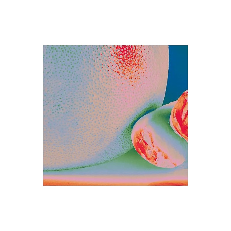 Albedo Massima [Vinyl LP]