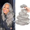 Peenoll 10 12 14 Inch Human Hair Bundles Sliver Grey