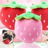 Zhhuoc Red Strawberry Practical Design and Interactive Plush Squeaky Dog