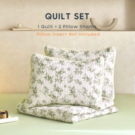 Wake In Cloud - Shabby Chic Quilt Set, Floral Coquette Cottagecore Vintage Flower for Women Teen Girls, Reversible Lightweight Bedspread Coverlet, 3 Pieces, Sage Green, Twin/Twin XL Size