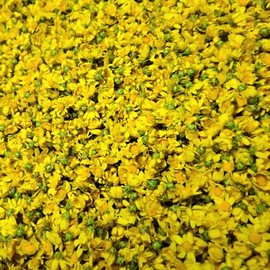 국화 국화꽃 국화차 감국차 감국 100g 국산 무독식품 Chrysanthemum Chrysanthemum Flower Chrysanthemum Tea Gukhwa Tea 100g Domestic Non-toxic Food