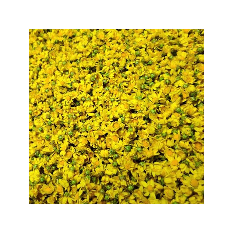 국화 국화꽃 국화차 감국차 감국 100g 국산 무독식품 Chrysanthemum Chrysanthemum